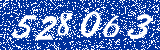 Capcha image