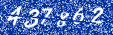 Capcha image