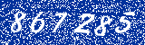 Capcha image