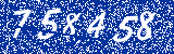 Capcha image